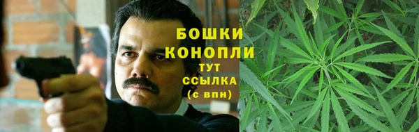 амф Медногорск