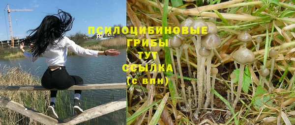 амф Медногорск