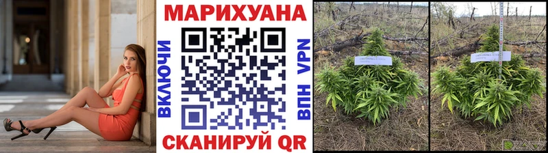 мега рабочий сайт  Поворино  Шишки марихуана Amnesia  купить наркоту 